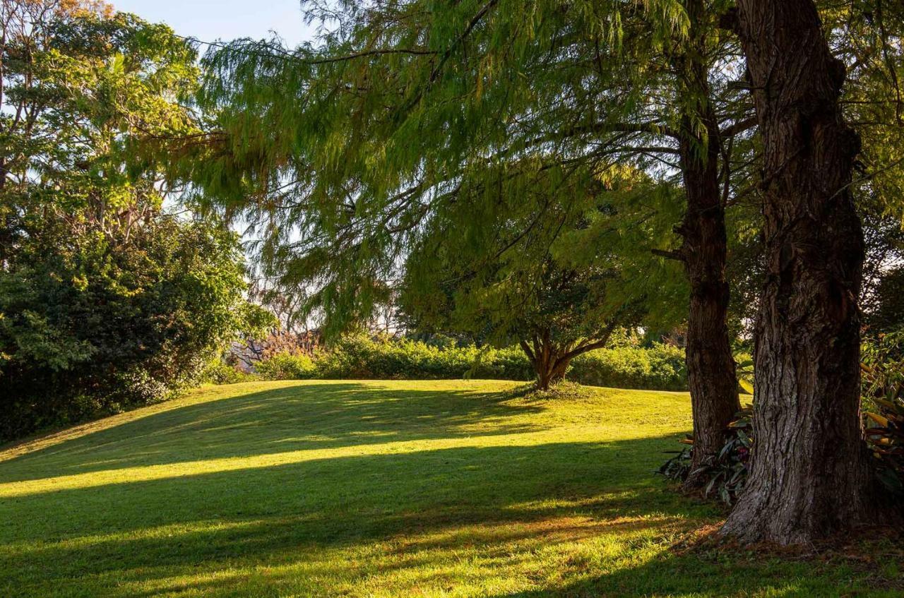 Montville Misty View Cottages Bagian luar foto